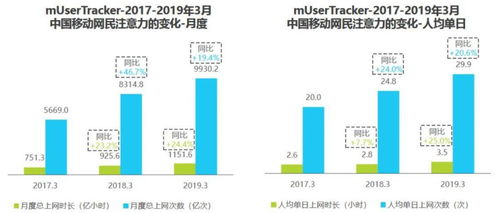 国内最大图片分享社区的贸易代理业务分析 机遇、挑战与策略